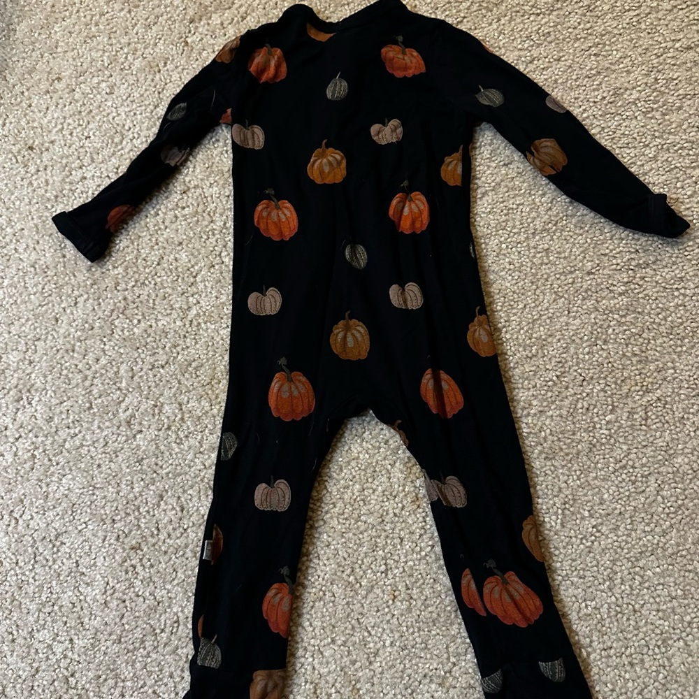 Kyte Baby 6-12 month zippy in pumpkins